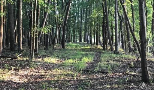 Photo #7 of 2561 Fort Huger Drive, Smithfield, Virginia 3.0 acres