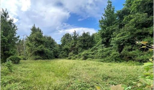 Photo #1 of 2650 Benefit Road, Chesapeake, Virginia 55.0 acres