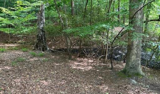 Photo #14 of 917 Lacon Drive, Newport News, Virginia 0.9 acres