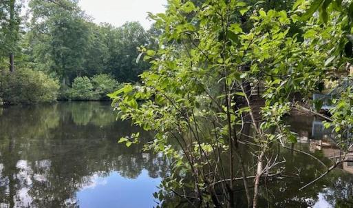 Photo #17 of 917 Lacon Drive, Newport News, Virginia 0.9 acres