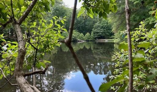 Photo #18 of 917 Lacon Drive, Newport News, Virginia 0.9 acres