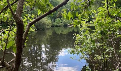 Photo #19 of 917 Lacon Drive, Newport News, Virginia 0.9 acres