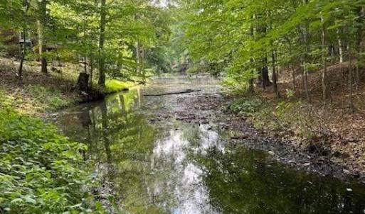 Photo #9 of 917 Lacon Drive, Newport News, Virginia 0.9 acres