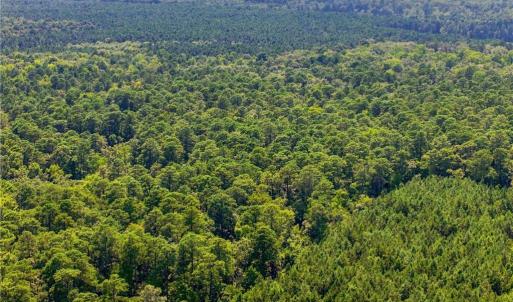Photo #11 of 27+ AC Low Ground Road, Hayes, Virginia 27.3 acres