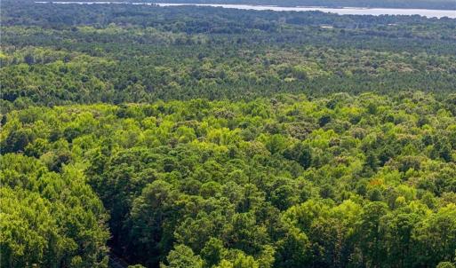 Photo #12 of 27+ AC Low Ground Road, Hayes, Virginia 27.3 acres