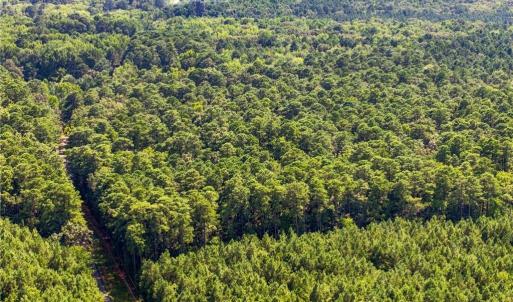 Photo #14 of 27+ AC Low Ground Road, Hayes, Virginia 27.3 acres