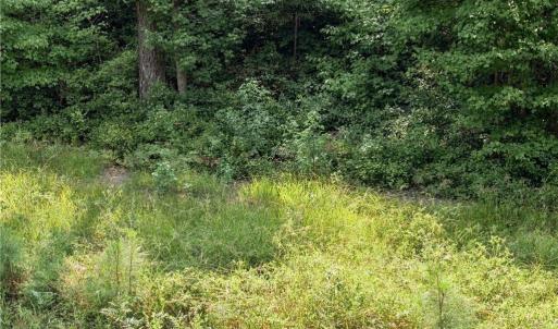 Photo #15 of 27+ AC Low Ground Road, Hayes, Virginia 27.3 acres