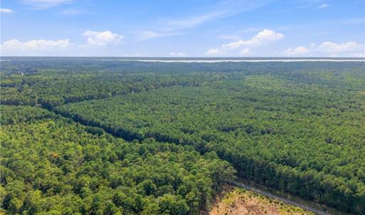 Photo #5 of 27+ AC Low Ground Road, Hayes, Virginia 27.3 acres