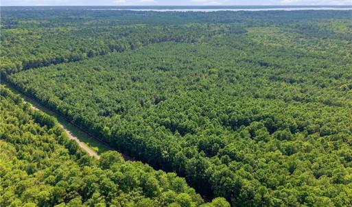 Photo #6 of 27+ AC Low Ground Road, Hayes, Virginia 27.3 acres