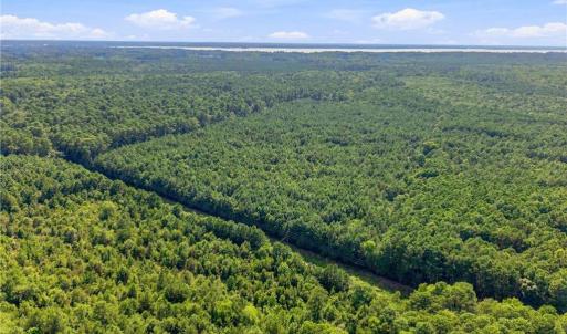 Photo #8 of 27+ AC Low Ground Road, Hayes, Virginia 27.3 acres