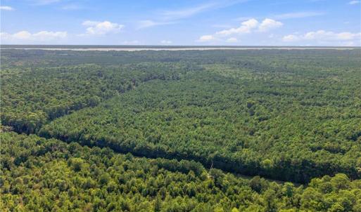 Photo #9 of 27+ AC Low Ground Road, Hayes, Virginia 27.3 acres