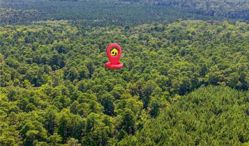 Photo #10 of 27+ AC Low Ground Road, Hayes, Virginia 27.3 acres