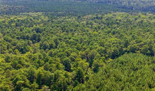 Photo #11 of 27+ AC Low Ground Road, Hayes, Virginia 27.3 acres