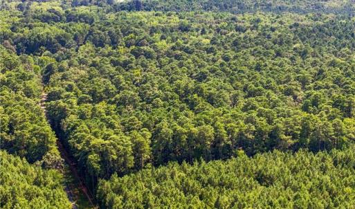 Photo #14 of 27+ AC Low Ground Road, Hayes, Virginia 27.3 acres