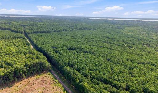 Photo #4 of 27+ AC Low Ground Road, Hayes, Virginia 27.3 acres
