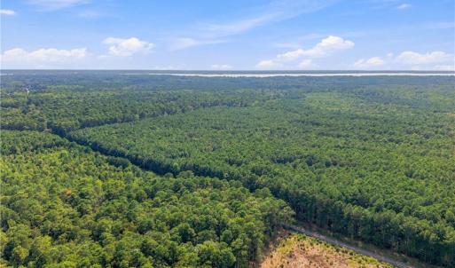 Photo #5 of 27+ AC Low Ground Road, Hayes, Virginia 27.3 acres