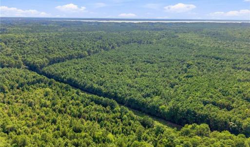 Photo #8 of 27+ AC Low Ground Road, Hayes, Virginia 27.3 acres