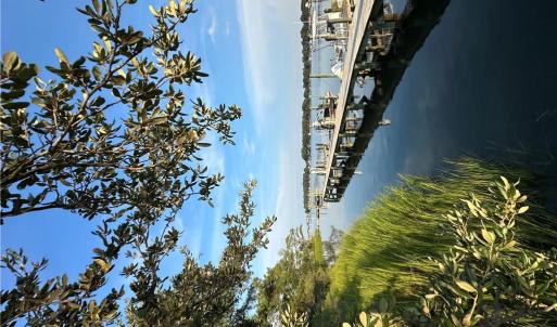 Photo #5 of 9505 7th Bay Street, Norfolk, Virginia 0.3 acres