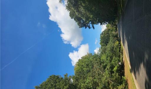 Savannah Dr View