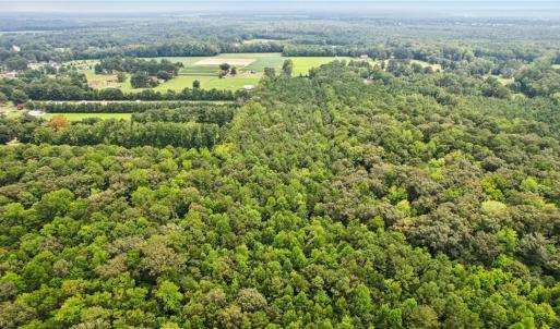 Photo #11 of 9.37AC Douglas Road, Chesapeake, Virginia 9.4 acres