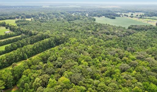 Photo #12 of 9.37AC Douglas Road, Chesapeake, Virginia 9.4 acres