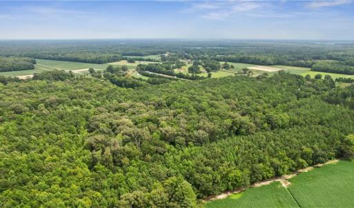 Photo #19 of 9.37AC Douglas Road, Chesapeake, Virginia 9.4 acres