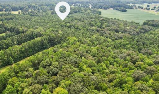 Photo #21 of 9.37AC Douglas Road, Chesapeake, Virginia 9.4 acres