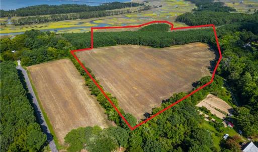 Photo #2 of 55 Ac  Vellines Lane, Carrollton, Virginia 55.5 acres