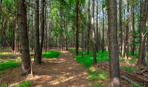 Photo #12 of 55 Ac  Vellines Lane, Carrollton, Virginia 55.5 acres