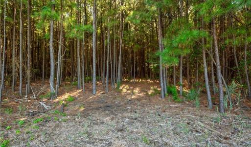 Photo #14 of 55 Ac  Vellines Lane, Carrollton, Virginia 55.5 acres
