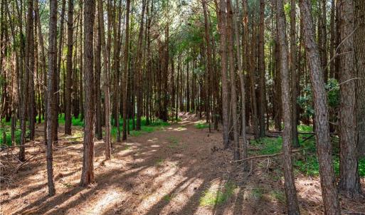Photo #15 of 55 Ac  Vellines Lane, Carrollton, Virginia 55.5 acres
