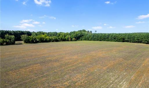 Photo #3 of 55 Ac  Vellines Lane, Carrollton, Virginia 55.5 acres