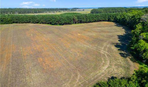 Photo #4 of 55 Ac  Vellines Lane, Carrollton, Virginia 55.5 acres