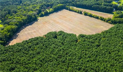 Photo #5 of 55 Ac  Vellines Lane, Carrollton, Virginia 55.5 acres