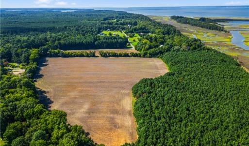 Photo #7 of 55 Ac  Vellines Lane, Carrollton, Virginia 55.5 acres