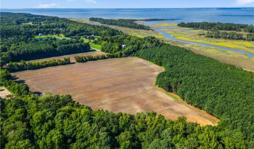 Photo #8 of 55 Ac  Vellines Lane, Carrollton, Virginia 55.5 acres