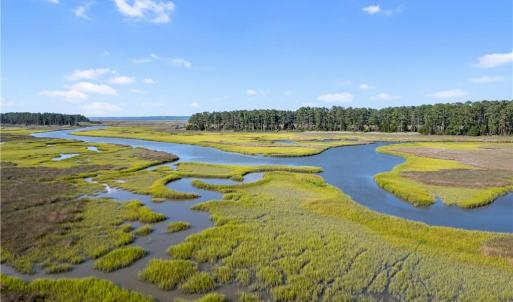 Photo #9 of 55 Ac  Vellines Lane, Carrollton, Virginia 55.5 acres