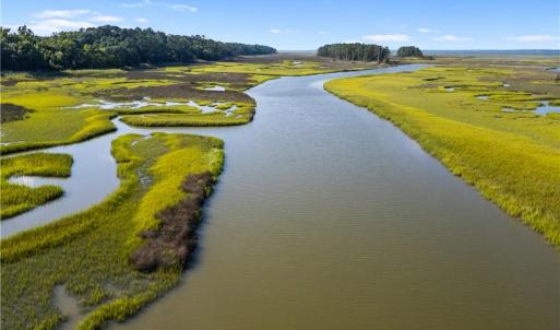 Photo #10 of 55 Ac  Vellines Lane, Carrollton, Virginia 55.5 acres