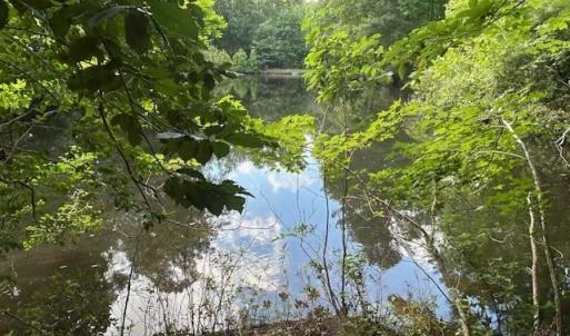 Photo #2 of 158 Highwood Circle, Newport News, Virginia 1.8 acres