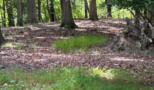Photo #11 of 158 Highwood Circle, Newport News, Virginia 1.8 acres