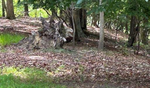 Photo #12 of 158 Highwood Circle, Newport News, Virginia 1.8 acres