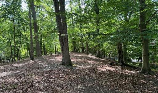 Photo #17 of 158 Highwood Circle, Newport News, Virginia 1.8 acres