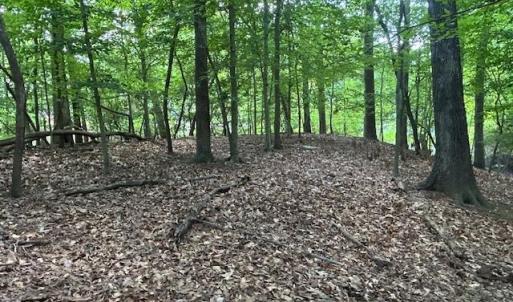 Photo #4 of 158 Highwood Circle, Newport News, Virginia 1.8 acres
