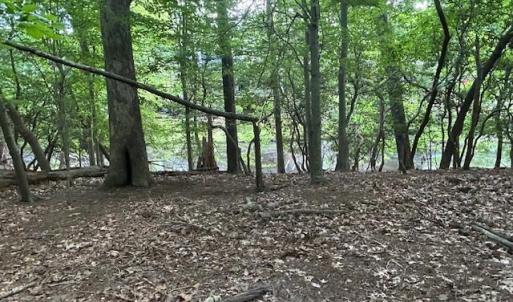 Photo #5 of 158 Highwood Circle, Newport News, Virginia 1.8 acres