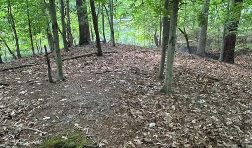 Photo #6 of 158 Highwood Circle, Newport News, Virginia 1.8 acres