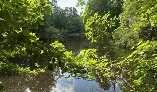 Photo #7 of 158 Highwood Circle, Newport News, Virginia 1.8 acres