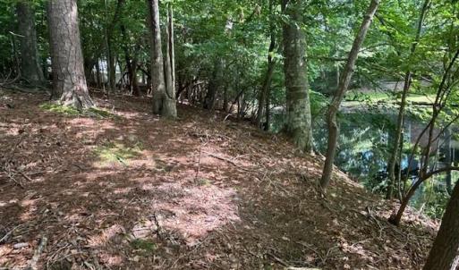 Photo #8 of 158 Highwood Circle, Newport News, Virginia 1.8 acres