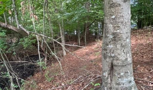 Photo #9 of 158 Highwood Circle, Newport News, Virginia 1.8 acres