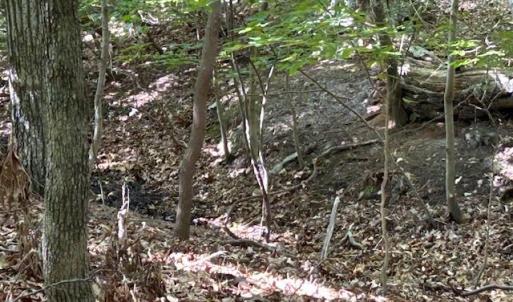 Photo #10 of 158 Highwood Circle, Newport News, Virginia 1.8 acres
