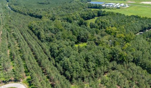 Photo #7 of 11464 Wakefield Road, Sedley, Virginia 5.5 acres